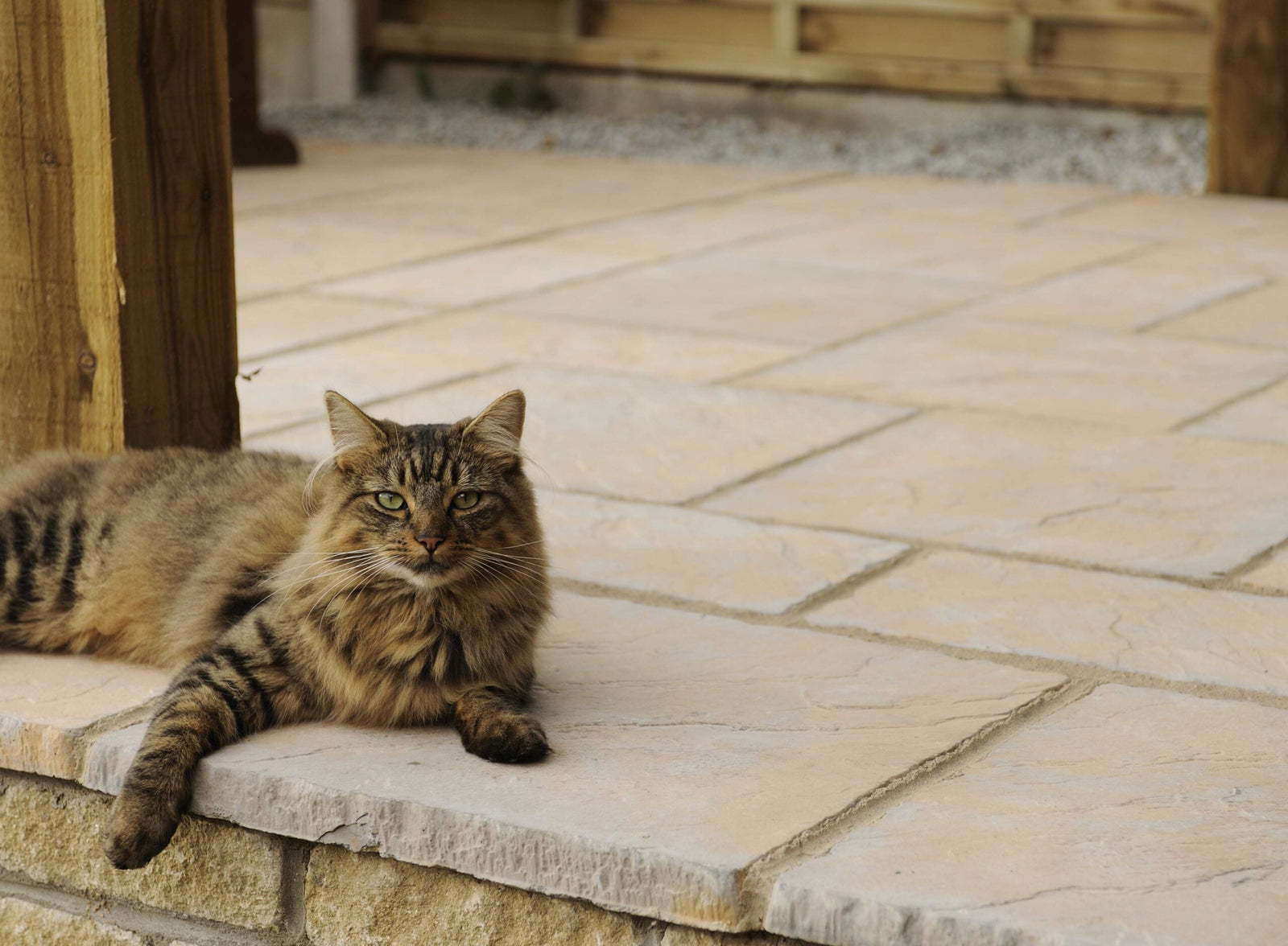 DIY Patio Project: How to Use Paving Kits & Circle Paving for a Professional Garden Transformation