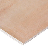5.5mm General Purpose Plywood Poplar Core 165 Sheets x 1220mm x 2440mm