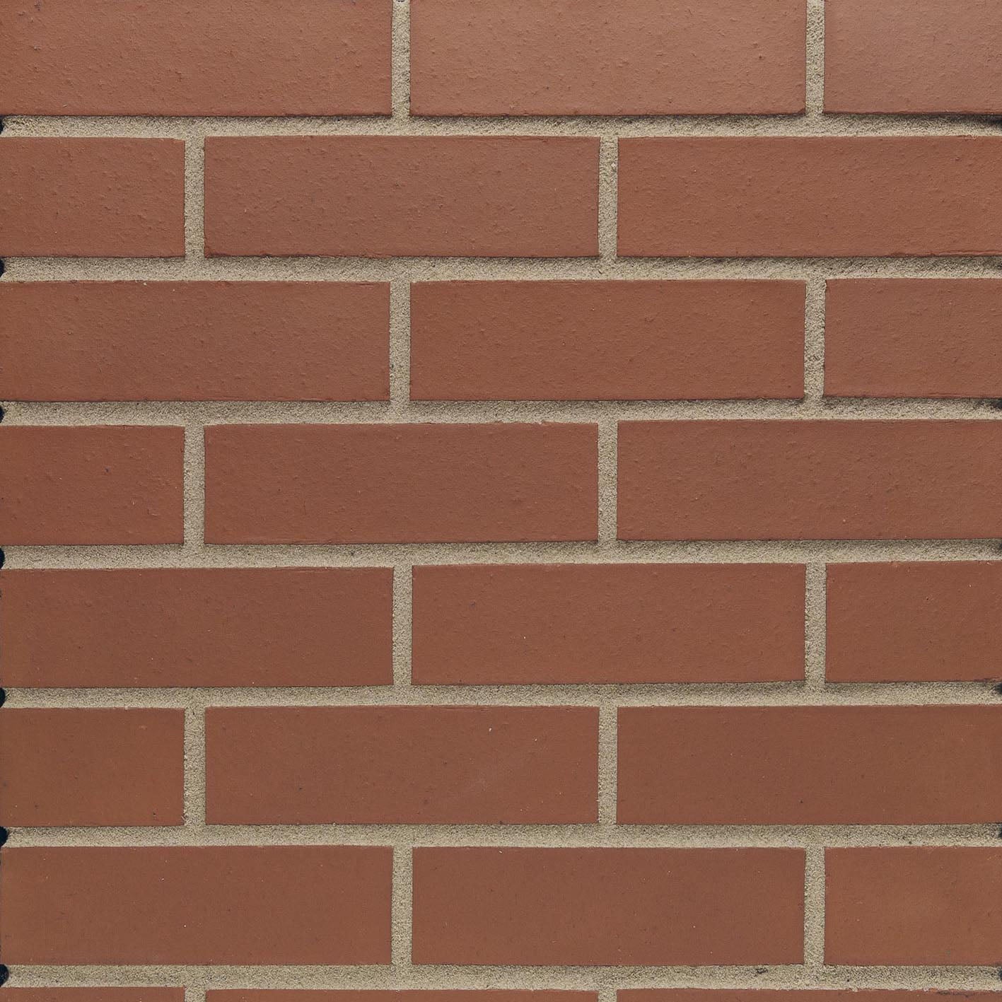 Common & Concrete Bricks – DIY Building Supplies